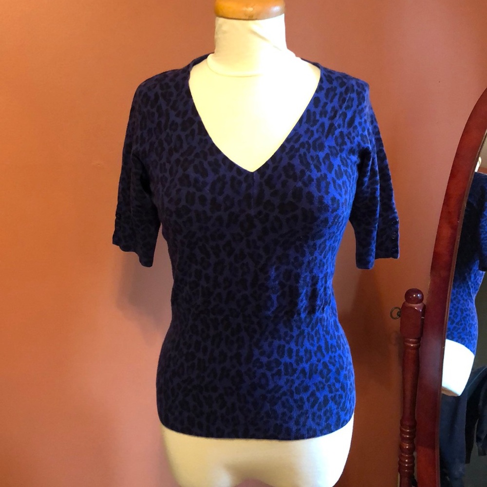 Express Blue and Black Leopard V-Neck Sweater